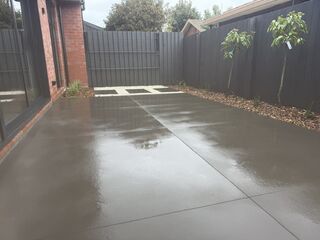 Half shot black ( patio’s)